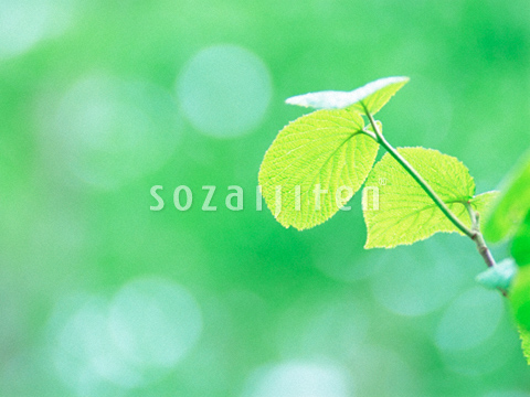 �t