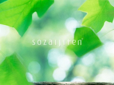 �t