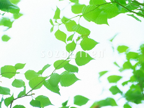 �t