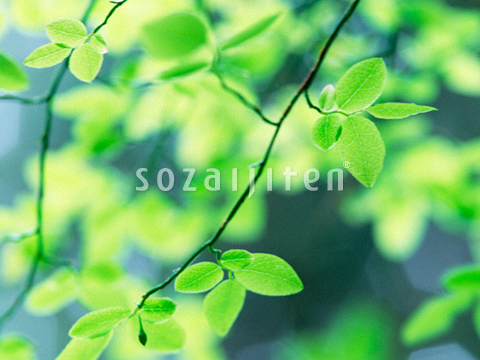 �t