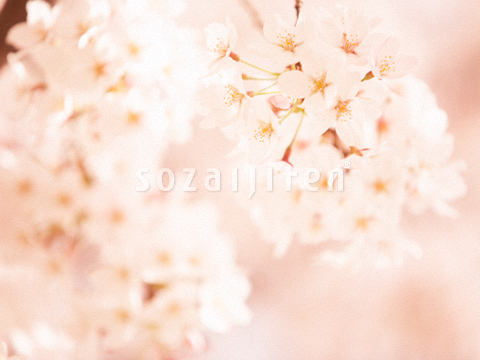 �T�N��