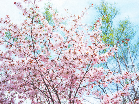 �G�]���}�U�N��