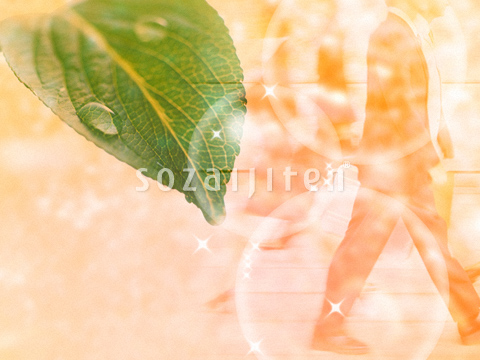 �l�X�Ɨt