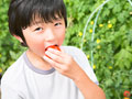 トマトを食べる小学生