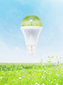 LED電球と草原