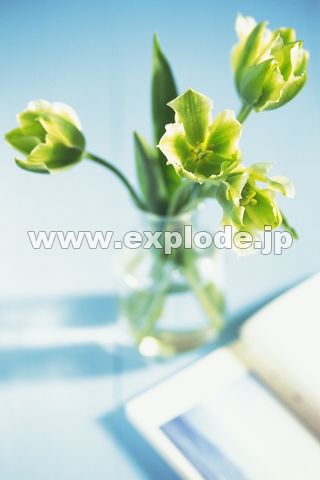 CtX^CC[W