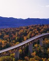 高速道路と紅葉