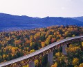 高速道路と紅葉