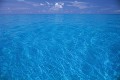 バハマの青い海