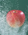 水泡とリンゴ