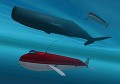 クジラと泳ぐ潜水艦