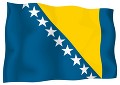 ボスニア･ヘルツェゴビナ共和国国旗