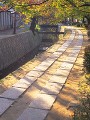 散歩道