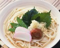 冷やしうどん