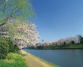 舞鶴公園