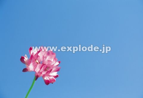 Q\EƐ