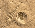 砂のクラフト