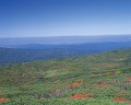 初秋の北海道