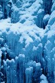 冬のイメージ