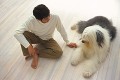 犬と男性