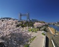 白鳥公園と名古屋国際会議場