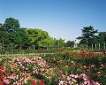 鶴舞公園