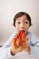 ホットドッグを食べる男の子