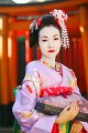 お参りに行く舞妓