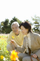 花畑と日本人夫婦