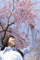 枝垂桜と女性