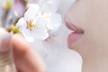 桜の花と唇
