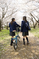 桜と女子高生
