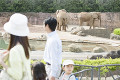 動物園に来たファミリー