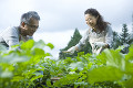 畑仕事をするシニア夫婦