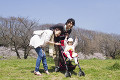 乳母車の赤ちゃんと公園を散歩する３人家族