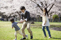 桜が咲く公園で遊ぶ３人家族