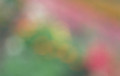 花（アウトフォーカス）