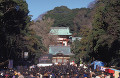 正月の鶴岡八幡宮