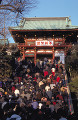 正月の鶴岡八幡宮