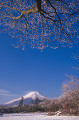 花の都公園と富士山