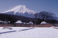 忍野村と富士山