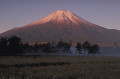 花の都公園と富士山