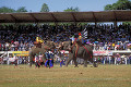 スーリンの象祭り（タイ）