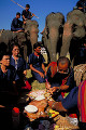 スーリンの象祭り（タイ）