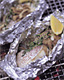 白身魚とキノコの香草ホイル焼き