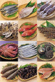 鮮魚の集合イメージ・コラージュ