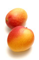 2個のマンゴー（メキシコマンゴー）