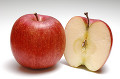 リンゴの断面と1個のリンゴ（サンフジ）