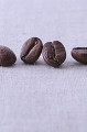 一列に並んだコーヒー豆