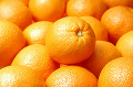 一面のオレンジ